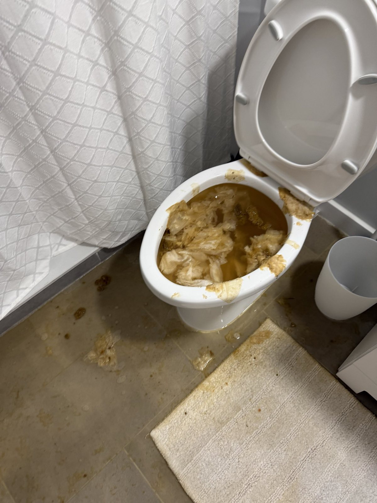 Before photo: sewage cleanup project in Alexandria, VA — documented initial conditions by Restoration Doctor